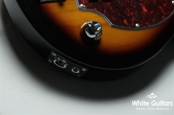 PGB-200 - Brown Sunburst